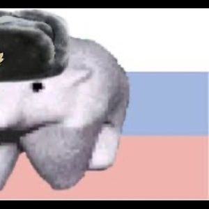 Meet your Posher, Scot